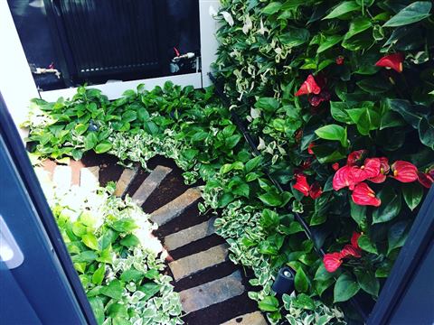 Grădină verticală cu plante naturale – Vilă rezidențială, foto 7 din 9